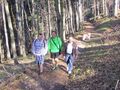 Waldweg vom Loicheck im Frühjahr