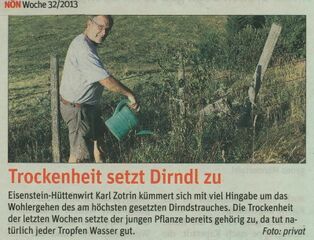 Pressinfo: Trockenheit im ersten Sommer