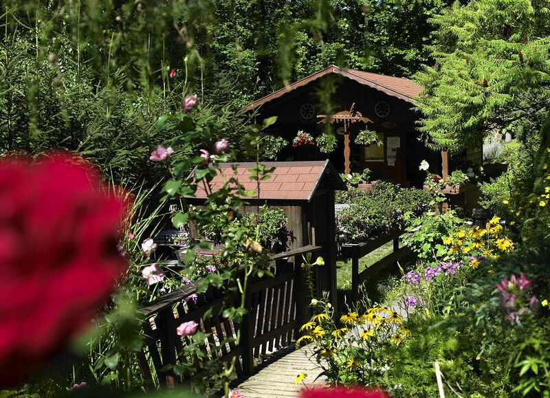 Datei:Fuchsien Vroni Garten.jpg
