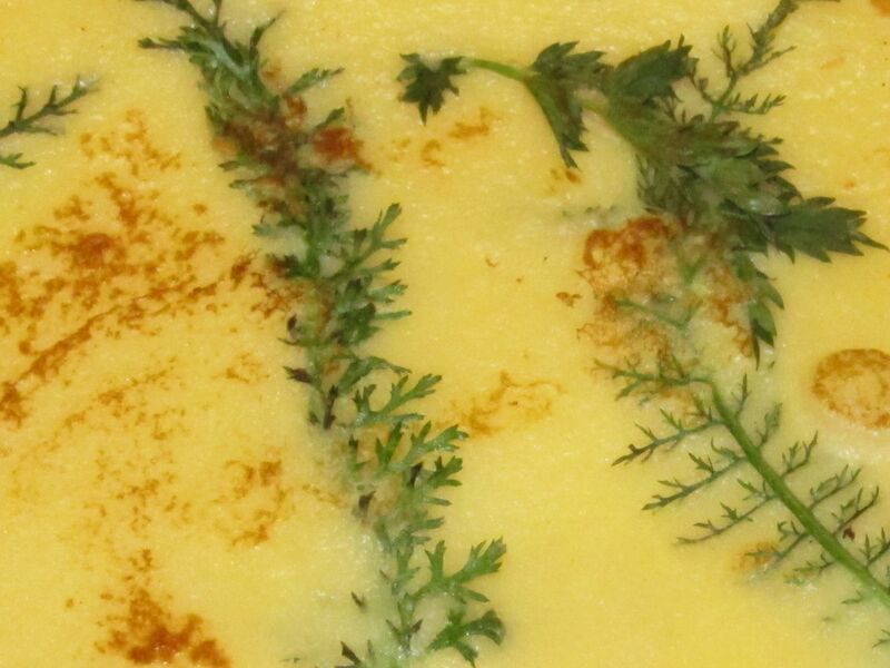 Datei:SK - W-Kräuterpalatschinke2.jpg