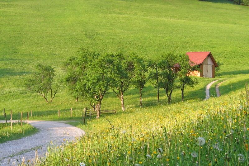 Datei:Streuobstwiese 800m.jpg