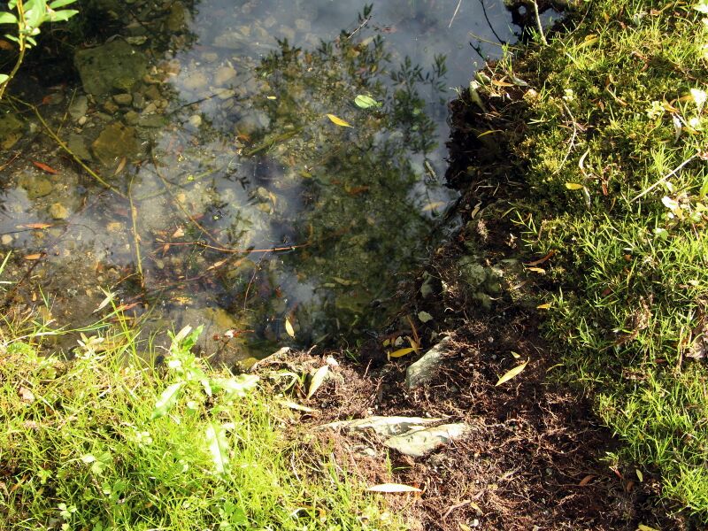 Datei:SG Biberwechsel Ausstieg.JPG