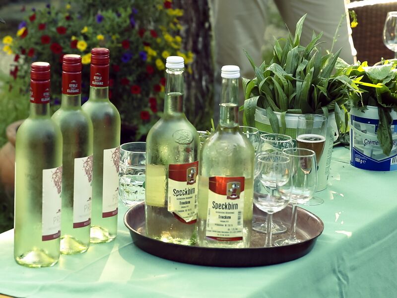 Datei:SK Most und Wildkräuter .jpg