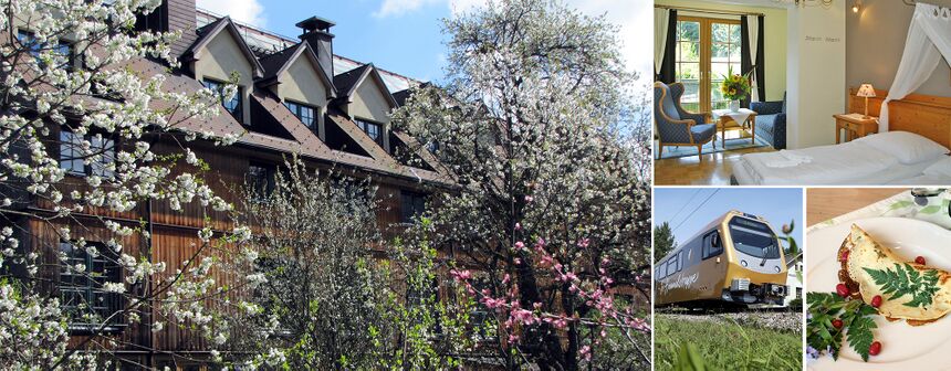 Gruppe im Steinschalerhof