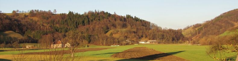 Warth mit Geburtshaus von Kardinal König - Winter ohne Schnee 2011