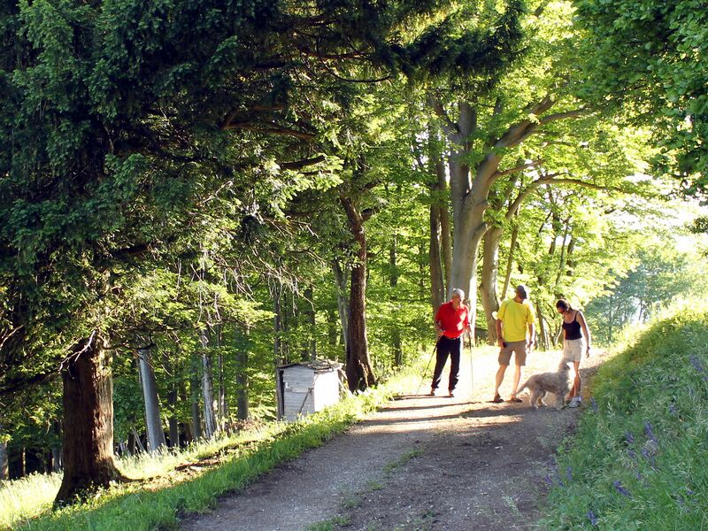 Datei:Wanderung Eibe Paula.jpg