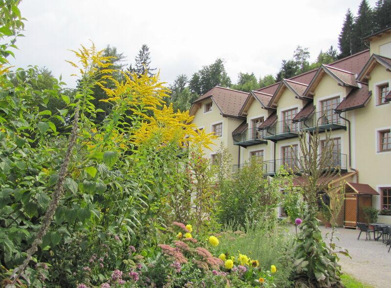 Datei:SD Talblick Blumen.jpg