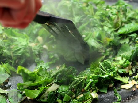 Wíldkräuter kochen auch mit Knoblauchsrauke: Wildspinat zubereitung