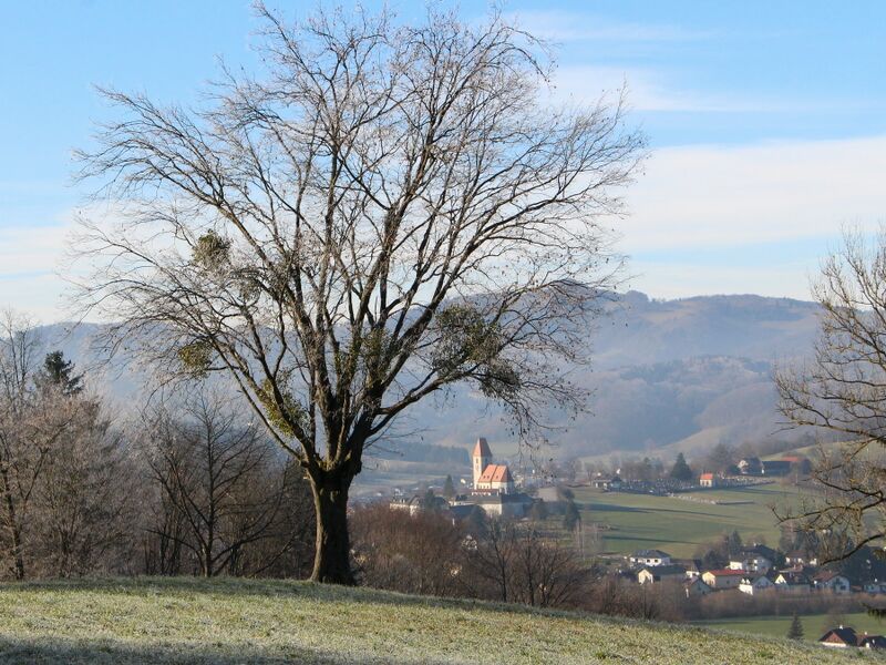 Datei:Blick auf Kirchberger Kirche Winter.JPG