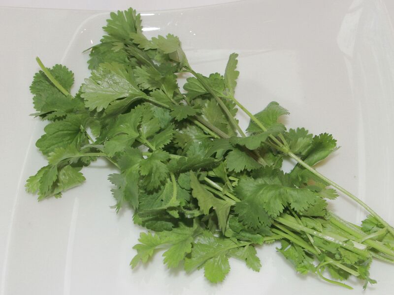 Datei:SG grüner Koriander.jpg