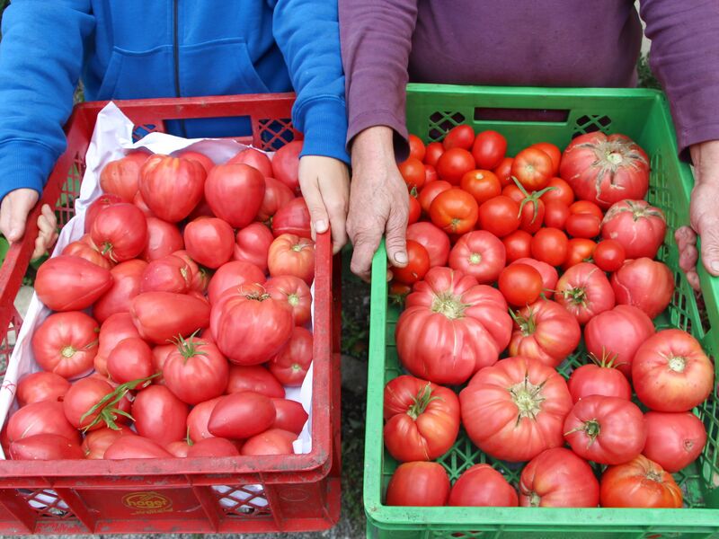 Datei:Sg Paradeisersteigen Sept.jpg