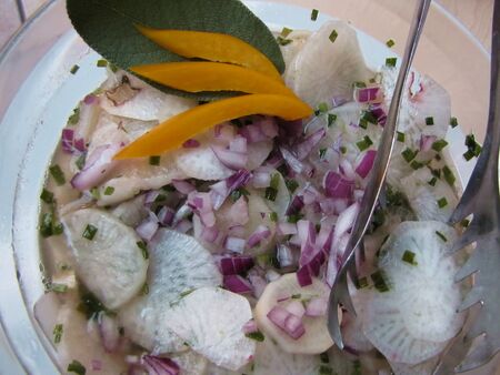 Rettichsalat - aus Biogarten