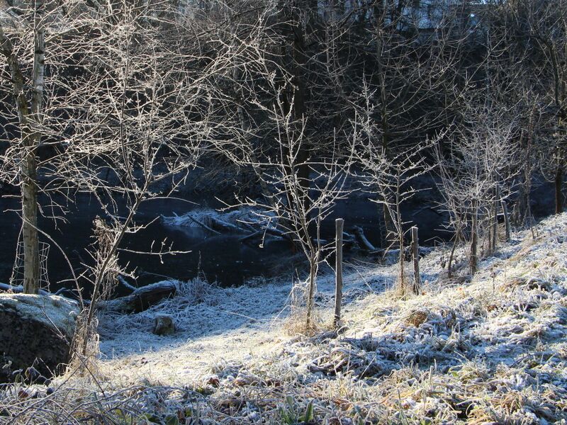 Datei:SG ST Dirndlzeuler am Teich.JPG