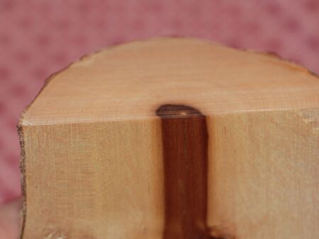 Dirndlholz - Nicht zum Heizen