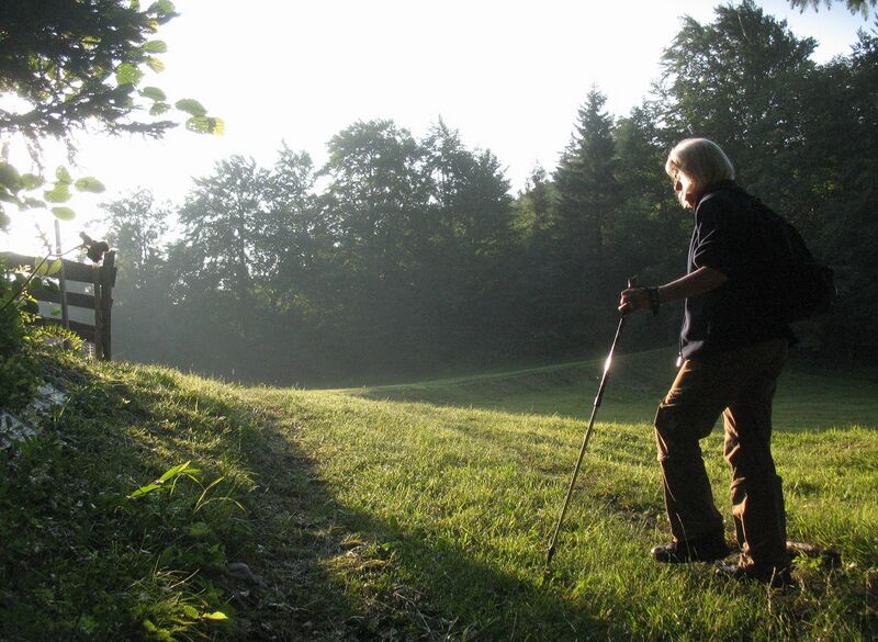 Datei:Wanderung Hohenstein.jpg