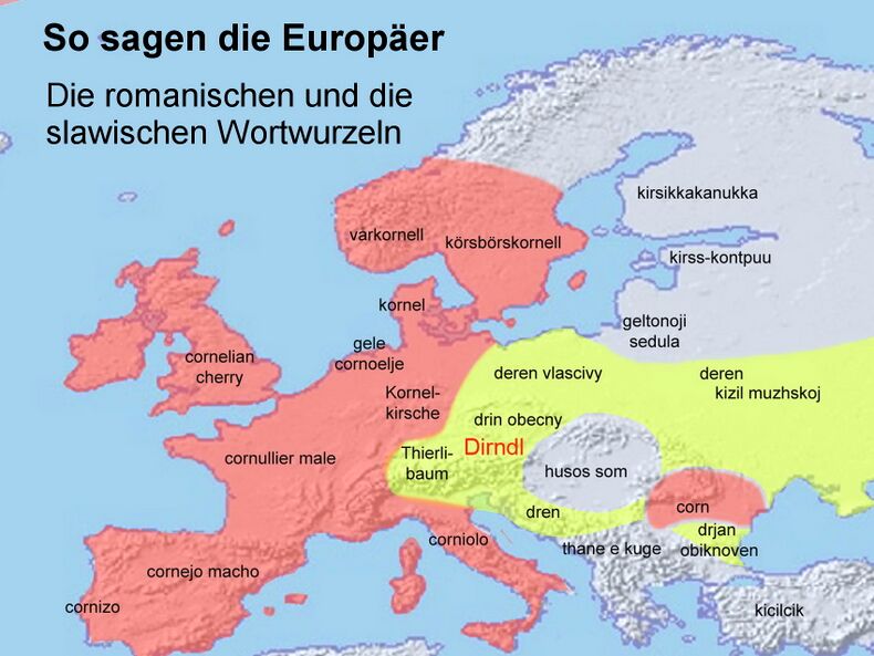 rightSo sagen die Europäer zur Dirndl