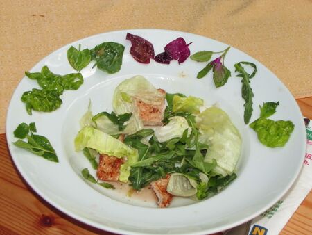 Wildkräuterselektion