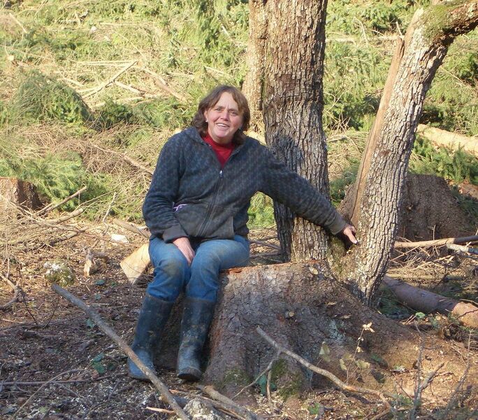 Datei:1025px-Obstbaum statt Fichte - Exkursionslandschaft.jpg