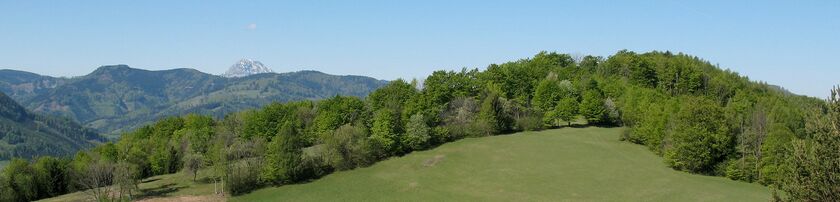Loicheck Ötscherblick