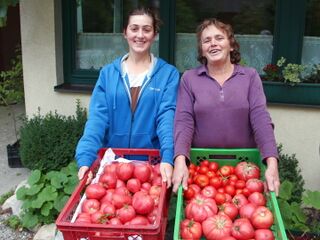 Johanna und Frieda mit Paradeiserernte