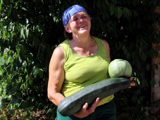 "Erntereiche" Frieda