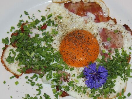 Spiegelei mit Blüte