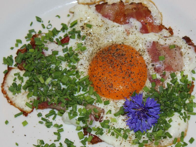 Datei:SK Spiegelei m Blüte1.jpg