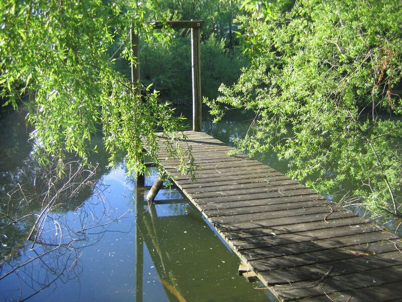 Datei:Steg am Steinschaler Teich.jpg