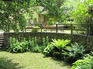 Speckbirn-Rondo imSommer