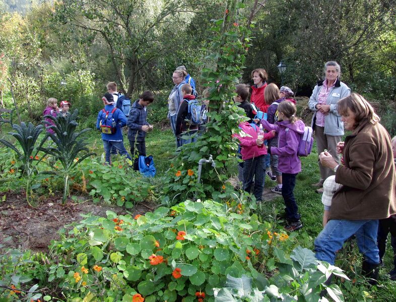 Datei:SG Führung Volksschule.jpg