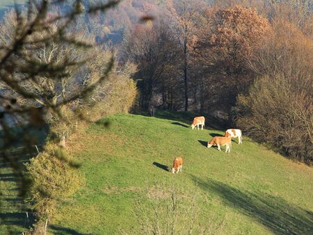 Das obere Ende von Warth: Leindlgrabehöhe - Herbst