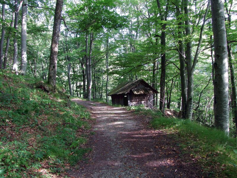 Datei:Aufstieg Hohenstein Sois.jpg