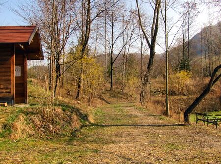 Teichweg bei Dirndlblüte