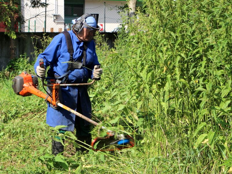 Datei:SG Frieda mäht.JPG