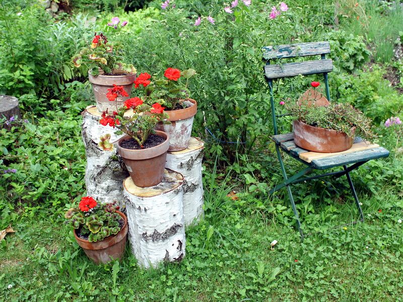 Datei:SG Friedas Stilleben3.jpg