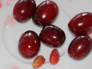 Dirndl - Basis vieler gesunder Leckerein - genussvolle Dirndlfrucht