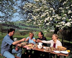 Birnbaumblüten Jause