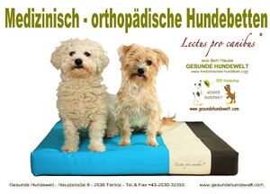Logo: Gesunde Hundewelt