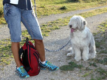 Paula als Leihwanderhund