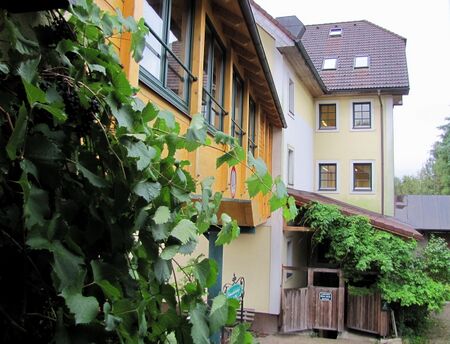 Übergang im Steinschalerhof