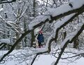 Schneeschuhwanderung Eisenstein Februar 2012