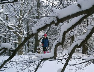 Eisenstein im Winter