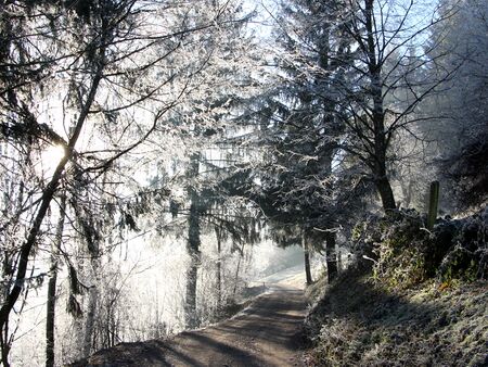 Raureif auf der Himmlischen Runde - einer ca. 2,5 Stunden Wanderung