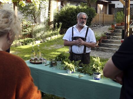 kulinarische Wildkräuter-Erklärung
