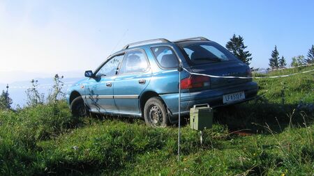 Angst (ums Auto!) vor Kühen auf der Weide