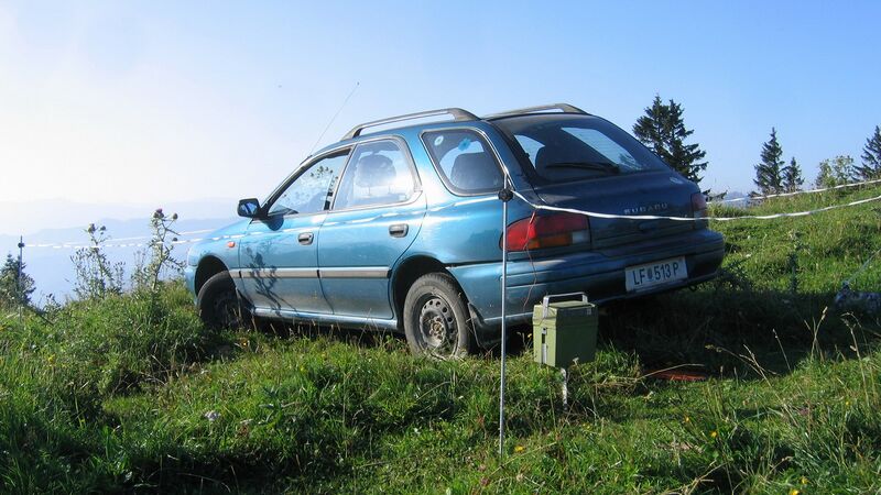 Datei:Angst vor Kühen.jpg