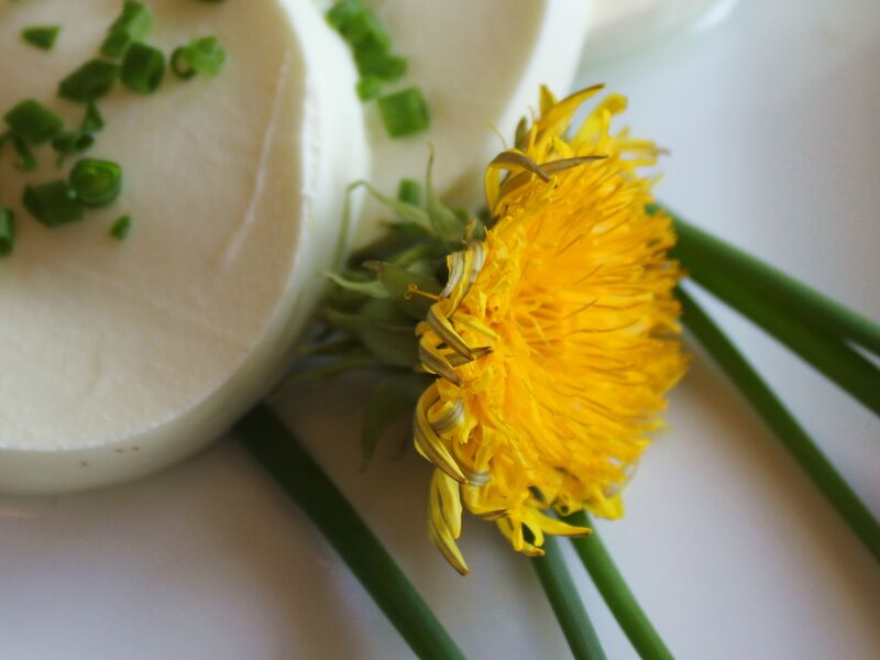 Datei:SK Blütendeko Löwenzahn1.jpg