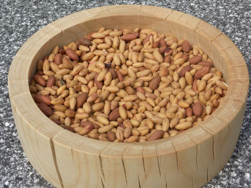 Datei:Almo Dirndlmunition.jpg