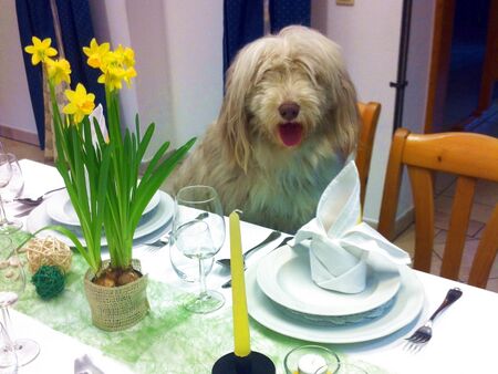 das hätte Paula gerne!