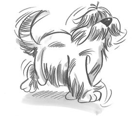 gehender Hund - Skizze Schorn